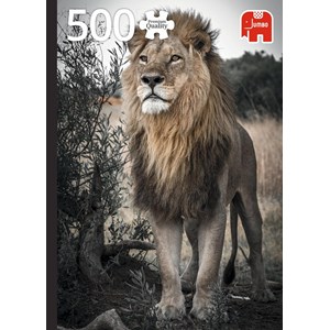 Jumbo (18523) - "Proud Lion" - 500 pièces
