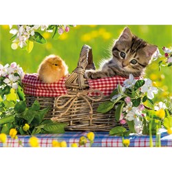 Jumbo (18801) - "Ready for a Picnic" - 500 pièces