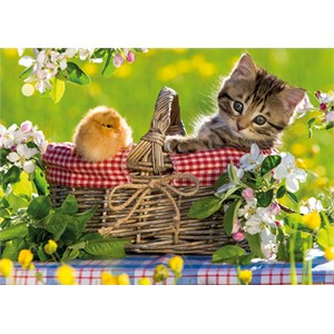 Jumbo (18801) - "Ready for a Picnic" - 500 pièces