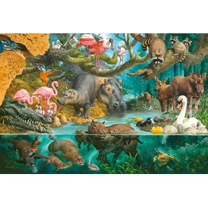 Schmidt Spiele (56306) - "Animal Families on the Shore" - 100 pièces