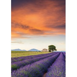 Schmidt Spiele (58364) - "Field of Lavender, Provence" - 500 pièces