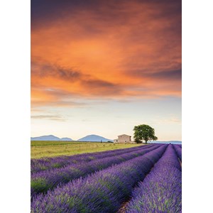 Schmidt Spiele (58364) - "Field of Lavender, Provence" - 500 pièces