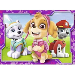 Nathan (86533) - "Les Filles de la Paw Patrol" - 45 pièces