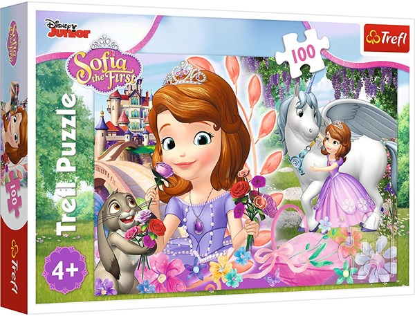 Trefl (16344) - "In a kingdom of adventures" - 100 pièces