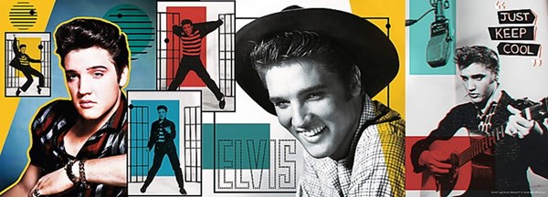 Trefl (29510) - "Elvis Presley" - 500 pièces