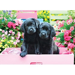 Eurographics (8500-5462) - "Black Labs in Pink Box" - 500 pièces
