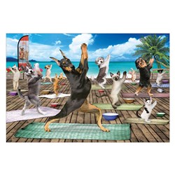 Eurographics (6500-5454) - "Yoga Spa" - 500 pièces