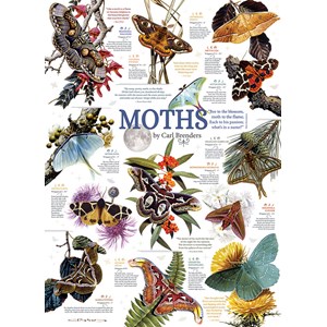 Cobble Hill (80016) - Carl Brenders: "Moth Collection" - 1000 pièces