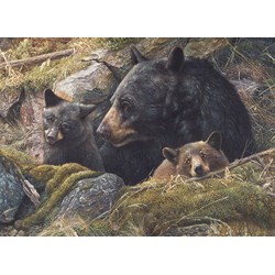 Cobble Hill (80012) - "Twice the Love" - 1000 pièces