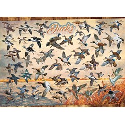 Cobble Hill (80263) - David A. Maass: "Ducks of North America" - 1000 pièces