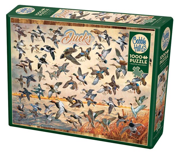 Cobble Hill (80263) - David A. Maass: "Ducks of North America" - 1000 pièces