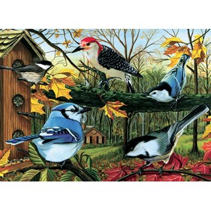 Cobble Hill (80053) - "Blue Jay And Friends" - 1000 pièces