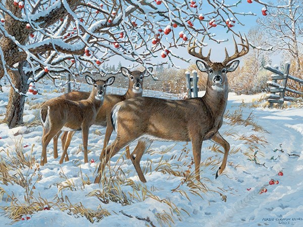 Cobble Hill (57196) - Persis Clayton Weirs: "Winter Deer" - 1000 pièces
