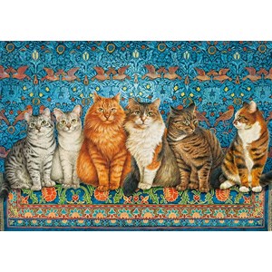 Castorland (B-53469) - "Cat Aristocracy" - 500 pièces