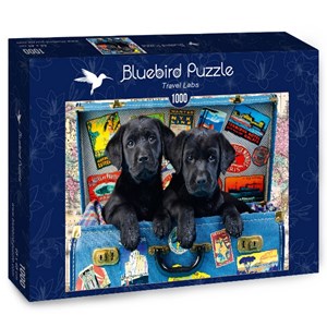 Bluebird Puzzle (70328) - Greg Cuddiford: "Travel Labs" - 1000 pièces