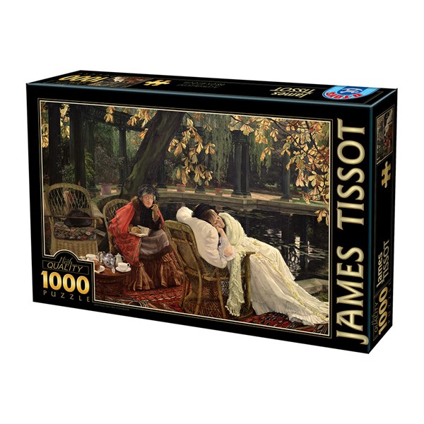 D-Toys (75079) - James Tissot: "A Convalescent" - 1000 pièces