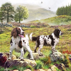 Otter House Puzzle (74132) - "Spaniels On The Moor" - 1000 pièces