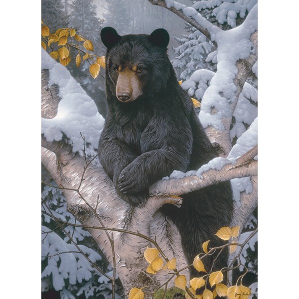 Cobble Hill (80099) - "Black Bear" - 1000 pièces