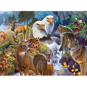 SunsOut (56543) - Jerry Gadamus: "Forest Neighbors" - 1000 pièces