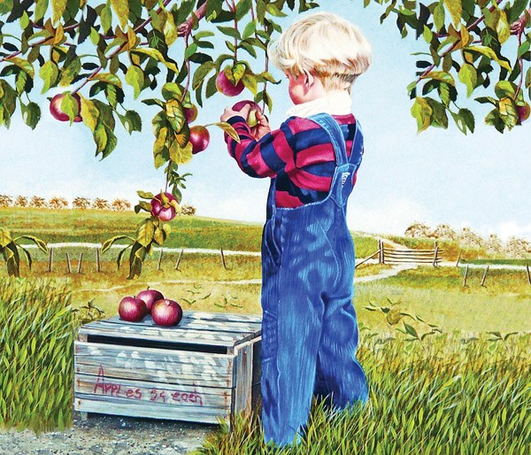 SunsOut (26282) - Patricia Bourque: "Apple Picking" - 550 pièces