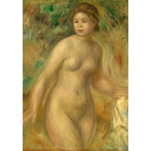 Grafika (01875) - Pierre-Auguste Renoir: "Nu, 1895" - 1000 pièces