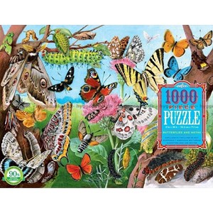 eeBoo (EPZTBLM) - "Butterflies and Moths" - 1000 pièces