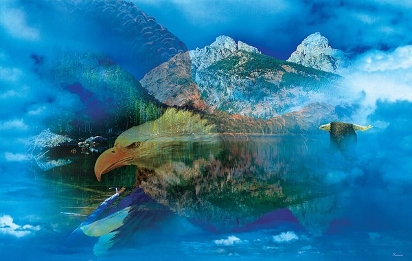 SunsOut (50777) - Gordon Semmens: "Eagle Dreamscape" - 550 pièces