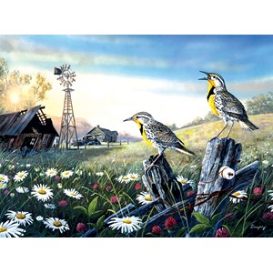 SunsOut (71131) - Terry Doughty: "Meadow Outpost" - 1000 pièces