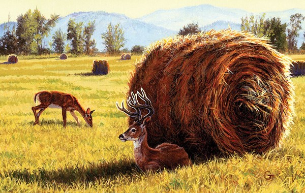 SunsOut (17462) - Gary Johnson: "Made in the Shade" - 550 pièces