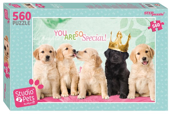 Step Puzzle (97054) - "Studio Pets" - 560 pièces