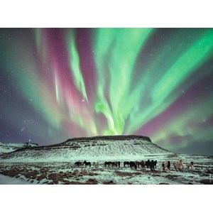 Ravensburger (89489) - "Aurore Boreale" - 500 pièces