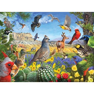 SunsOut (70939) - R. Christopher Vest: "Texas Birds" - 1000 pièces