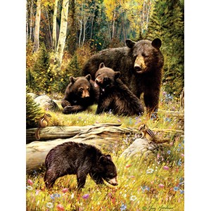 Cobble Hill (85036) - "Bears" - 500 pièces