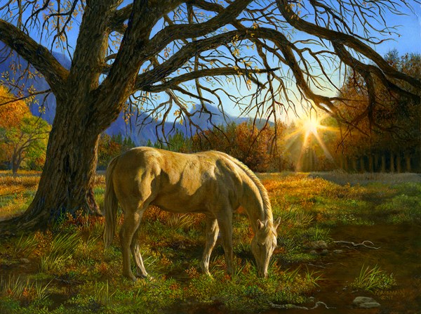 SunsOut (26294) - Karla Mann: "Pastoral Sunset" - 1000 pièces