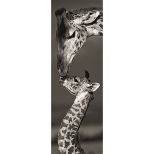 Dino (54537) - "Girafes" - 1000 pièces