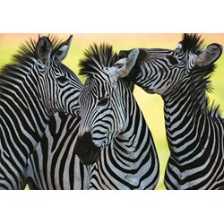 Dino (50226) - "3 Zebras" - 500 pièces