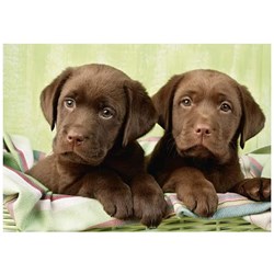 Dino (50244) - "Labradors" - 500 pièces