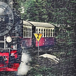 Pintoo (h2159) - "The Steam Train, Switzerland" - 600 pièces