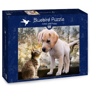 Bluebird Puzzle (70004) - "Kitten and Puppy" - 500 pièces