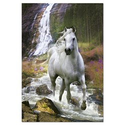 Educa (15509) - "Freedom" - 500 pièces