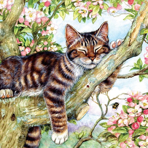 SunsOut (50423) - Debbie Cook: "Sleepy Cat" - 500 pièces