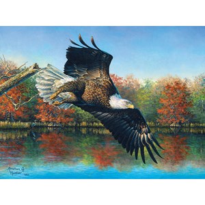 SunsOut (69607) - Abraham Hunter: "Wetlands Eagle" - 1000 pièces