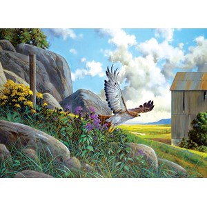 Cobble Hill (85064) - Douglas Laird: "Take Off" - 500 pièces