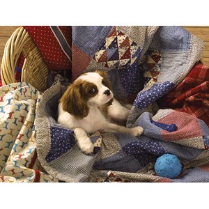 Cobble Hill (85042) - "Laundry Day" - 500 pièces