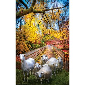 SunsOut (30136) - Celebrate Life Gallery: "Sheep Crossing" - 550 pièces