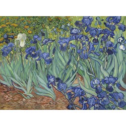 Grafika (00751) - Vincent van Gogh: "Les Iris, 1889" - 2000 pièces