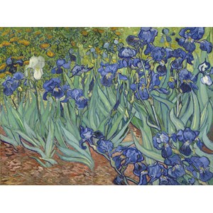 Grafika (00751) - Vincent van Gogh: "Les Iris, 1889" - 2000 pièces