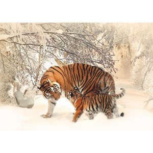 Deico (75987) - "Tigers" - 1000 pièces