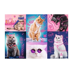 Trefl (10581) - "Chats" - 1000 pièces