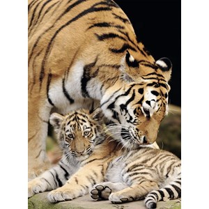 Nathan (87234) - "Moment de Tendresse" - 500 pièces